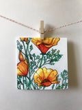 Argus Art Studio - California Poppy Greeting Cards: 4" x 4"