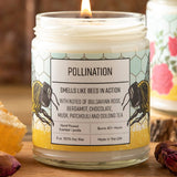 Two Little Fruits | Pollination