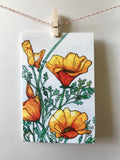 Argus Art Studio - California Poppy Greeting Cards: 4" x 4"