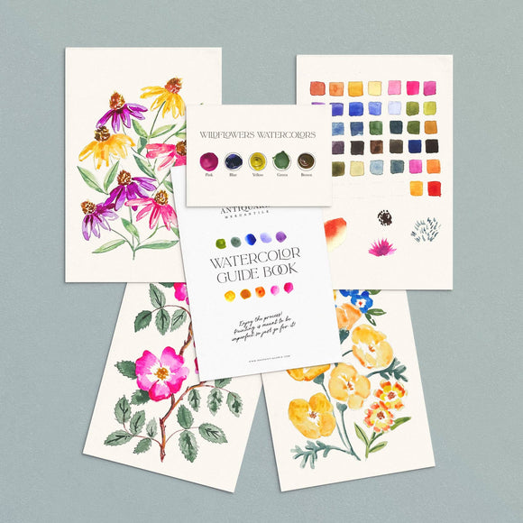 Antiquaria - Watercolor Painting Kit : Wildflowers No1