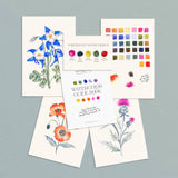 Antiquaria | Wildflowers #2 Watercolor