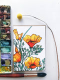 Argus Art Studio - California Poppy Greeting Cards: 4" x 4"