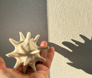 Sally Spear Pottery | Star Ball
