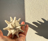 Sally Spear Pottery | Star Ball