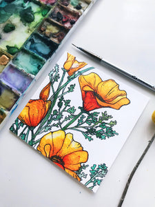 Argus Art Studio - California Poppy Greeting Cards: 4" x 4"