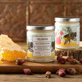 Two Little Fruits | Pollination