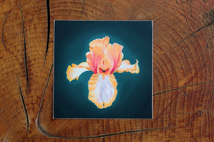 Samantha Cauchy Art | Iris Sticker
