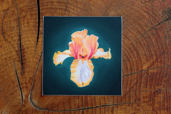 Samantha Cauchy Art | Iris Sticker