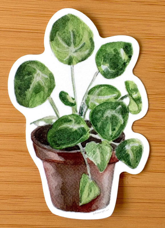 Diana Wright | Potted Pilia Sticker