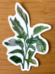 Diana Wright | Bird of Paradise Sticker